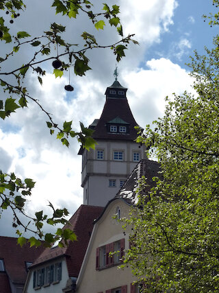 Die Turmspitze mit Graf Eberhard als Reiterfigur