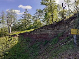 Diese Gesteinsschichten im Kotzenloch sind vor etwa 215 Millionen Jahren entstanden © Marlies Beitz