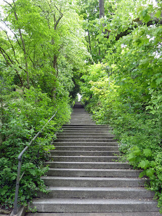 Wir lassen die Häuser hinter uns und nähern uns über die Willy-Reichert-Staffel der Karlshöhe