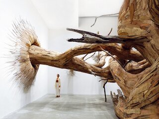 Henrique Oliveira, Corupira, 2023 &copy; Queensland Gallery of Modern Art, Brisbane, Australia