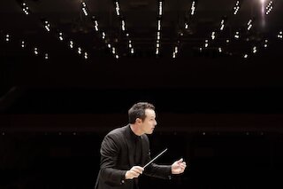 Case Scaglione &copy; Sonja Werner 