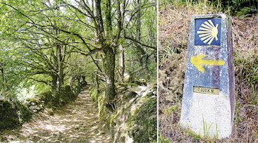 Auf dem Sternenweg © Fresco Tours Marcin Bajer