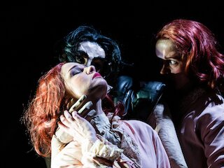 Dracula &copy; Anna Kolata