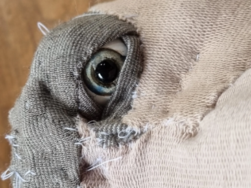 Farm der Tiere © Mechthild Nienaber