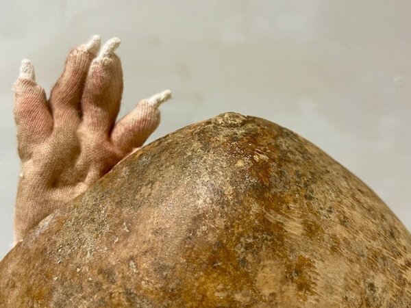 KuFo26 &copy; Zina Strunz