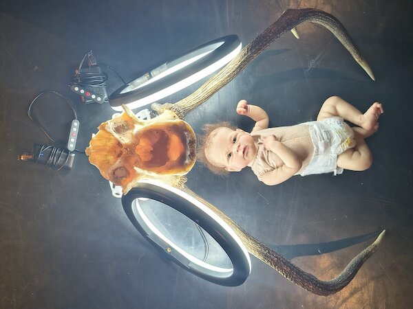 Reborn © Winnie Luzie Burz