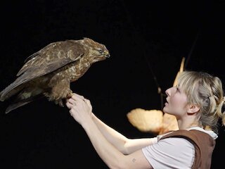 WAID - wipfelpirschen &copy; Camilla Krause