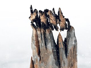 Pinguine &copy; Matthias Dengler