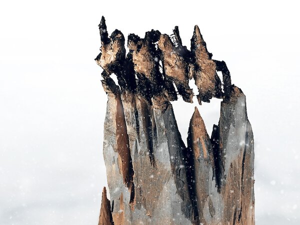 Pinguine &copy; Matthias Dengler