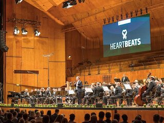 Heartbeats &copy; Nikolaus Grünewald