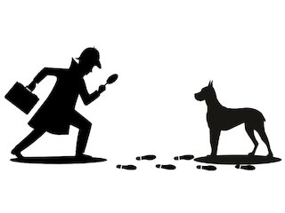 Baskerville &copy; Dominik Rau