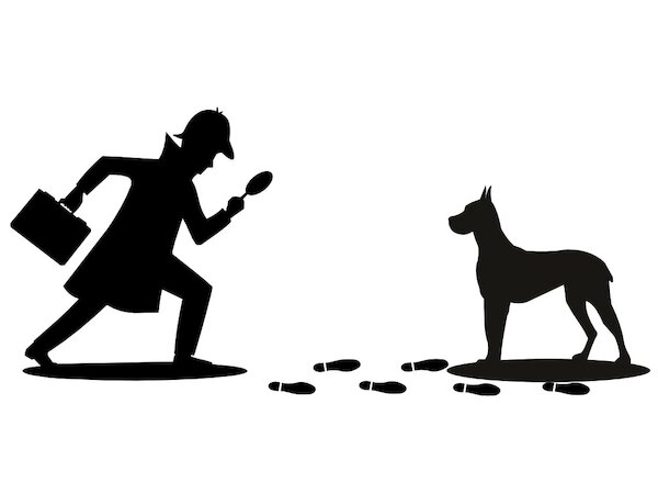 Baskerville © Dominik Rau