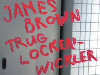 James Brown trug Lockenwickler &copy; Frieder Grindler